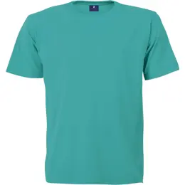 145g Barron Crew Neck T-Shirt Aquamarine